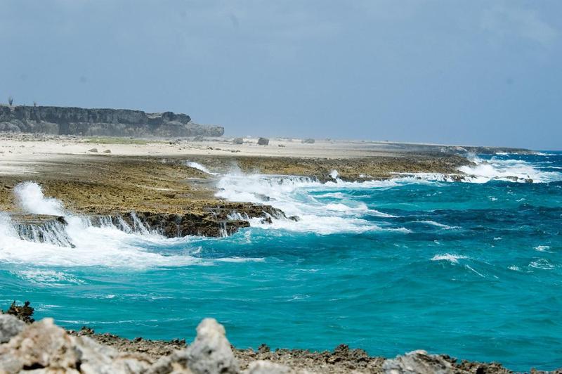 Apartamento Woodz Bonaire Playa Exterior foto